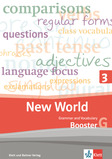 New World 3 Grammar and Vocabulary Grundanforderungen