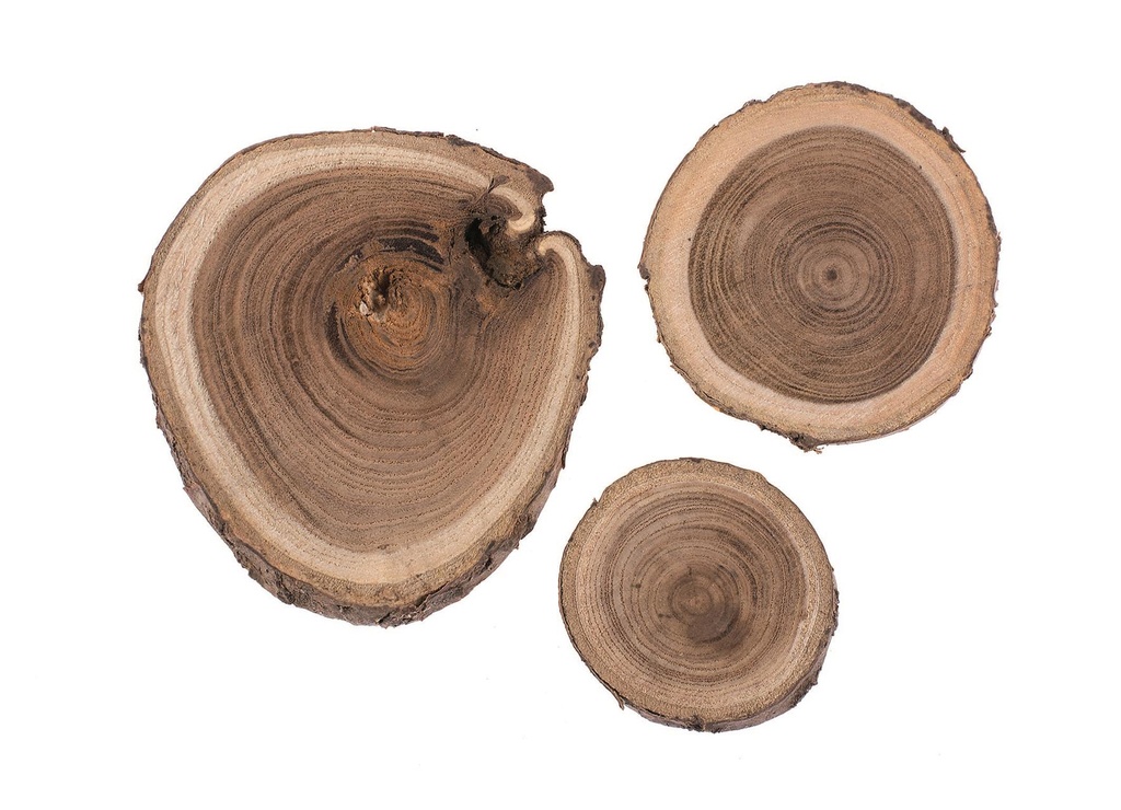 Rondelles de bois ø 3-6cm 80gr 