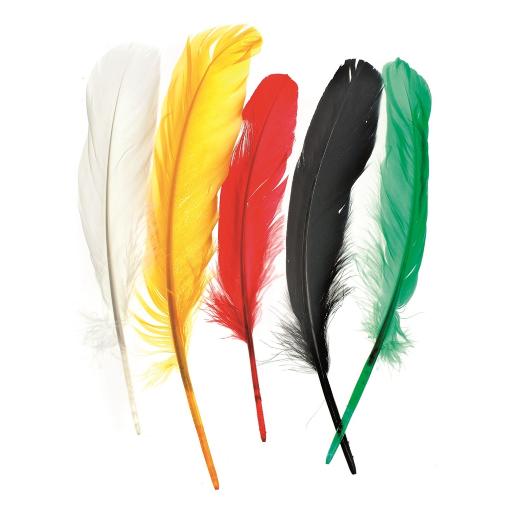 Plumes 16 cm env. 15 pces