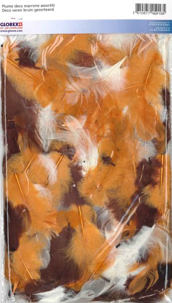 Plumes déco env. 10g