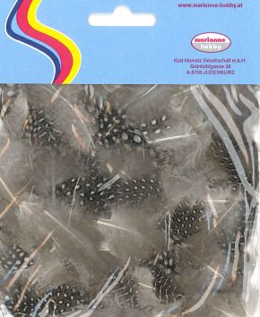 Plumes de pintade 3 gr.