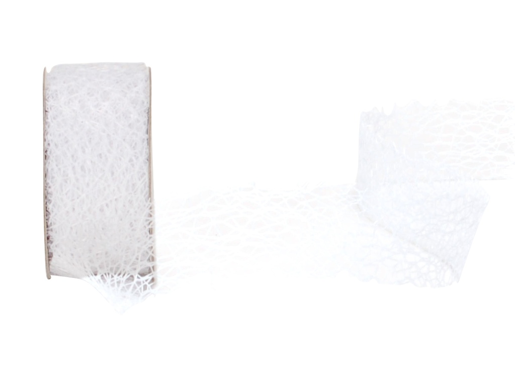 Ruban Netty 25 mm/4 m