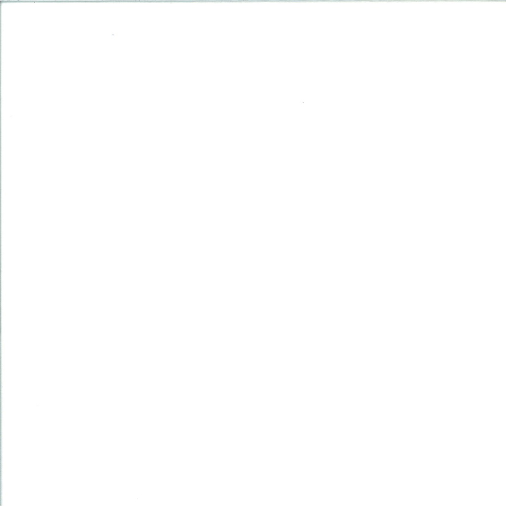 Coton Colorado largeur 150 cm