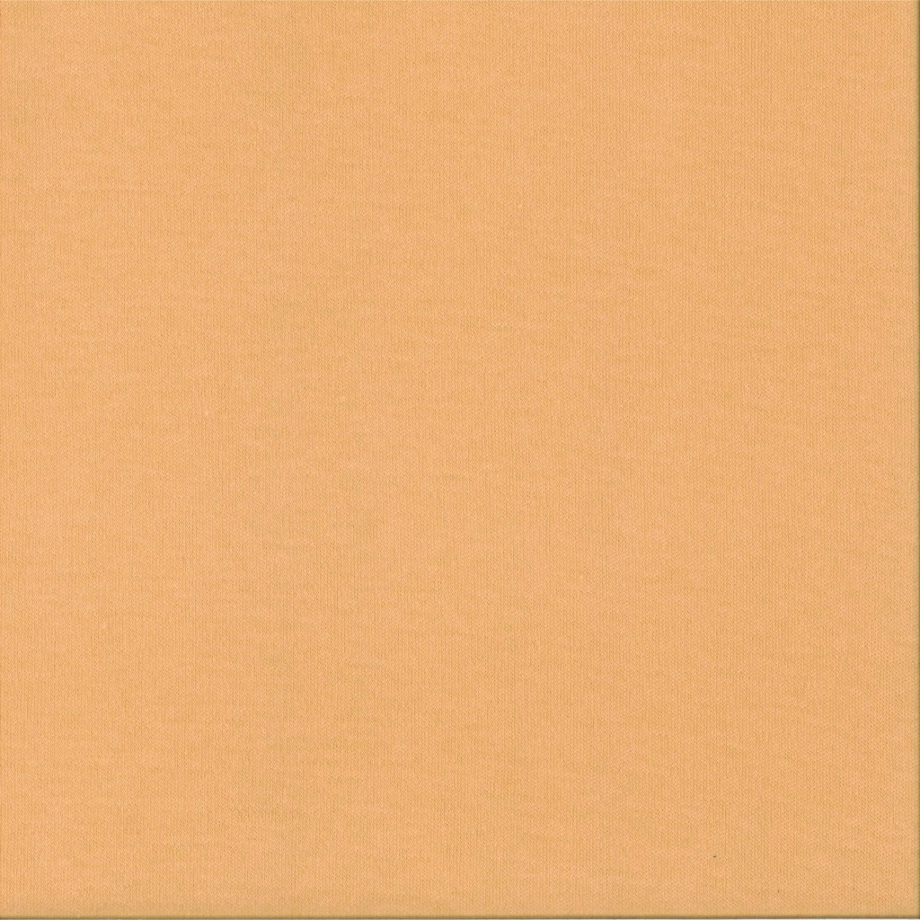 Jersey fein Breite 95 cm fleischfarben