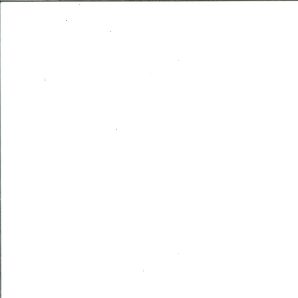 Organza Breite 150 cm