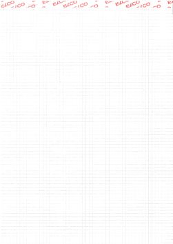 Bloc notes quadrillé 4mm (100 fles)