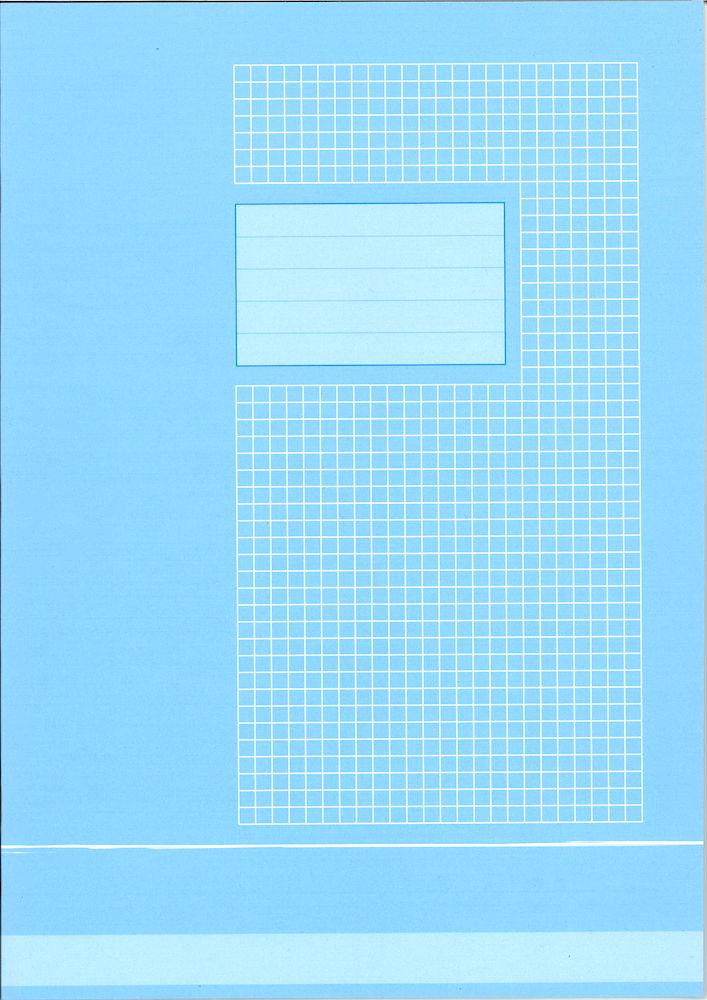 Cahier A4 quadrillé 5x5 mm margé (10 pces)