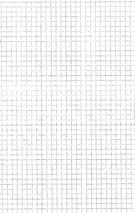 Carnet E6 quadrillé 5mm (25 pces)