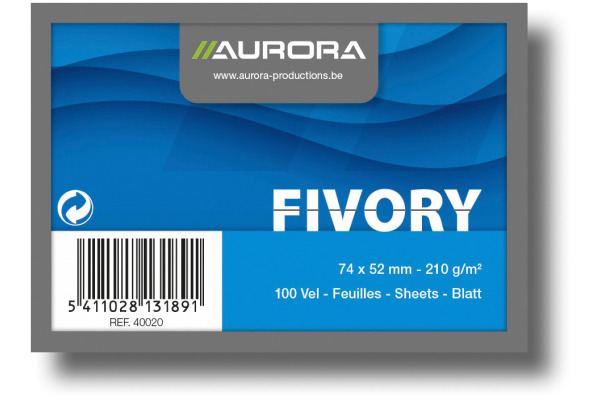 Fiches lignées, 100 feuilles