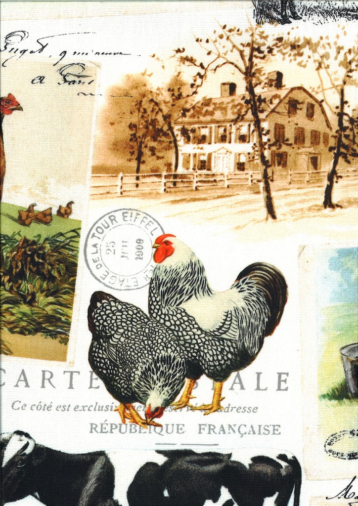 Baumwolle bedruckt Breite 140 cm Kanvas