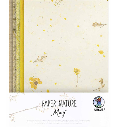 Papier Nature Daisy 11 feuilles 23x 33cm (copie)