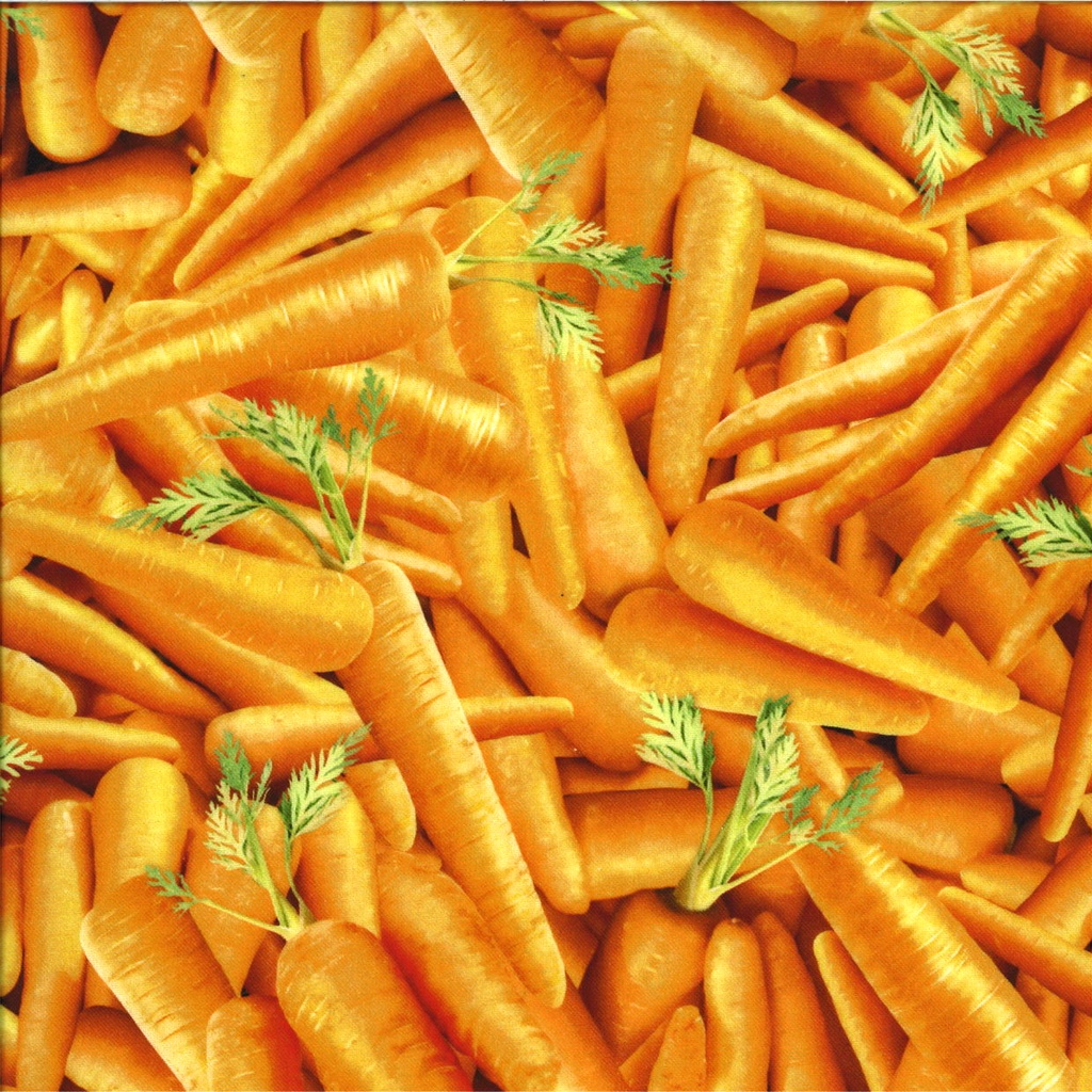 Coton imprimé largeur 115 cm