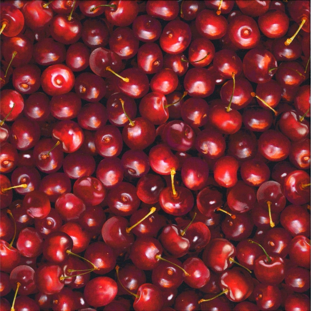 Coton imprimé largeur 115 cm