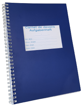 Carnet de devoirs bleu (copie)