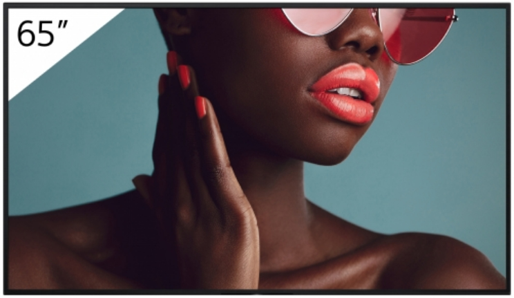 Ecran Sony Bravia 4K UHD 65" 